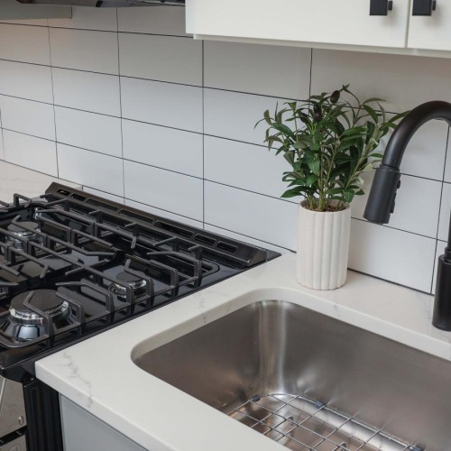 a kitchen with a sink and a plant